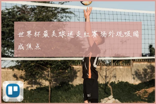 世界杯最美球迷走红赛场外观吸睛成焦点
