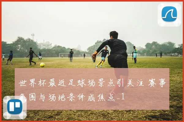 世界杯最近足球场景点引关注 赛事氛围与场地条件成焦点_1