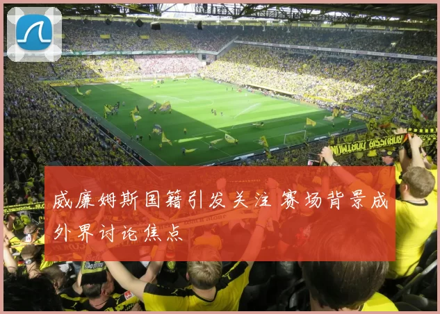 威廉姆斯国籍引发关注 赛场背景成外界讨论焦点