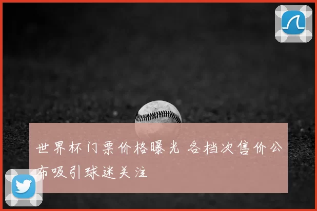 世界杯门票价格曝光 各档次售价公布吸引球迷关注
